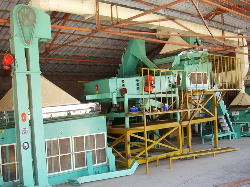 Complete Seed Processing Line for Grain Seed Cleaning and Processing