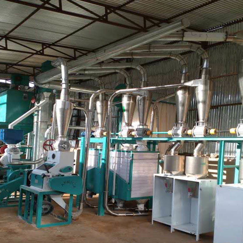 Mall Capacity 20t/24h Maize Miling Plant with Price