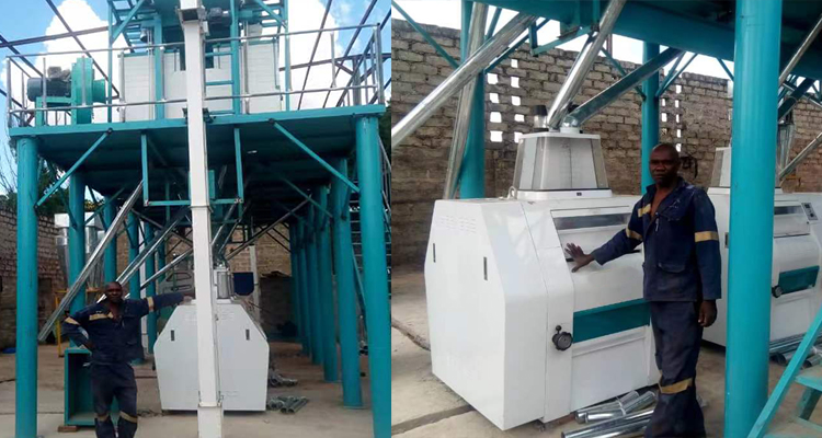 how to provide overseas installation services for grain seed cleaning machines and maize/wheat milling machines projects at the moment of COVID-19